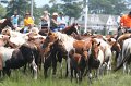 ponypenning_072810_186