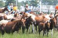 ponypenning_072810_187