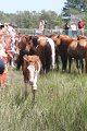ponypenning_072810_208