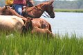 ponypenning_072810_228