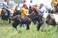 ponypenning_072810_234