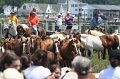 ponypenning_072810_237
