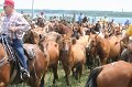 ponypenning_072810_243