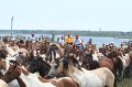 ponypenning_072810_247