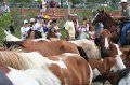 ponypenning_072810_254