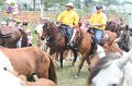 ponypenning_072810_255