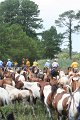 ponypenning_072810_258