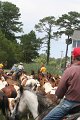 ponypenning_072810_260