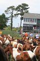 ponypenning_072810_261
