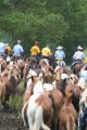 ponypenning_072810_265