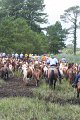 ponypenning_072810_266