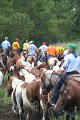 ponypenning_072810_267