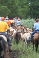 ponypenning_072810_268