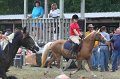 ponypenning_072810_285