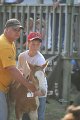 ponypenning_072810_296