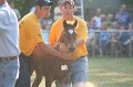 ponypenning_072810_300