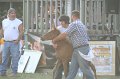 ponypenning_072810_305