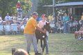 ponypenning_072810_324