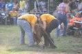 ponypenning_072810_328