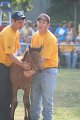 ponypenning_072810_329