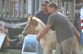 ponypenning_072810_330
