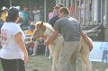 ponypenning_072810_331