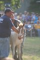 ponypenning_072810_333