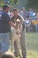 ponypenning_072810_334