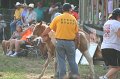 ponypenning_072810_339