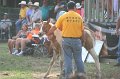 ponypenning_072810_340