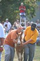 ponypenning_072810_343