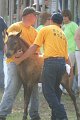 ponypenning_072810_345