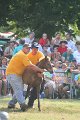 ponypenning_072810_346