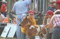 ponypenning_072810_349