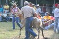 ponypenning_072810_355