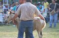 ponypenning_072810_357
