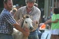 ponypenning_072810_358
