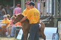 ponypenning_072810_365