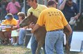 ponypenning_072810_367