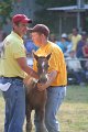 ponypenning_072810_371