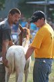 ponypenning_072810_373