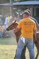 ponypenning_072810_377
