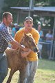 ponypenning_072810_378