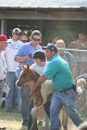 ponypenning_072810_379