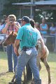 ponypenning_072810_380