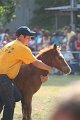 ponypenning_072810_384