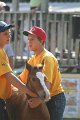 ponypenning_072810_385