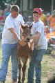 ponypenning_072810_389