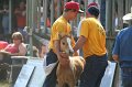 ponypenning_072810_390