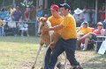ponypenning_072810_392